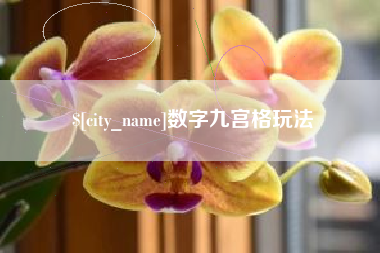 常宁数字九宫格玩法