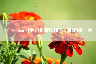 常宁全国消防日的日期是哪一天