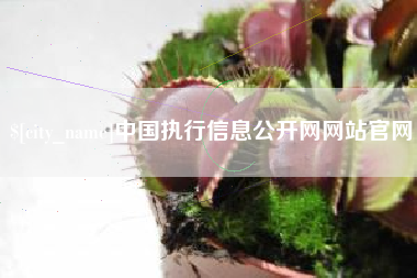 常宁中国执行信息公开网网站官网