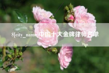 常宁中国十大金牌律师名单