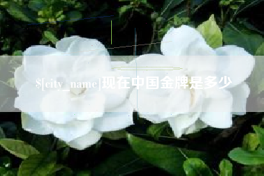 常宁现在中国金牌是多少