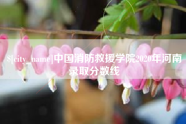 常宁中国消防救援学院2020年河南录取分数线