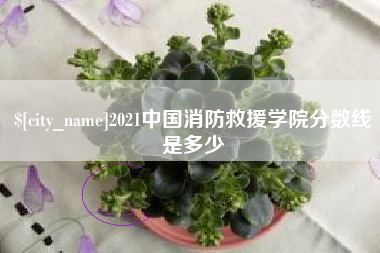 常宁2021中国消防救援学院分数线是多少