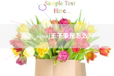 常宁王子豪是怎么写