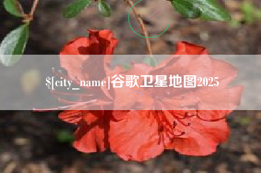 常宁谷歌卫星地图2025