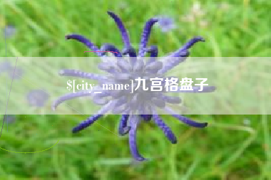 常宁九宫格盘子