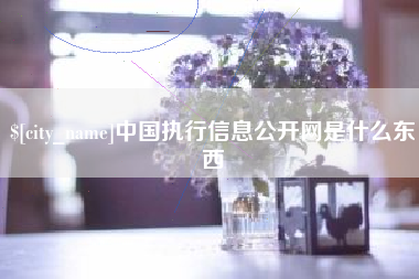 常宁中国执行信息公开网是什么东西