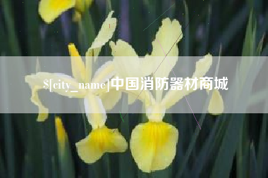 常宁中国消防器材商城