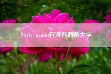 常宁有没有消防大学