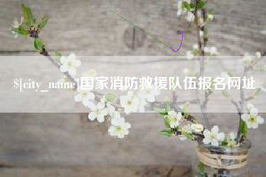 常宁国家消防救援队伍报名网址
