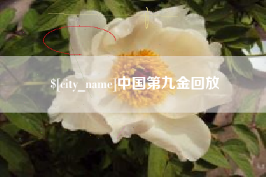 常宁中国第九金回放