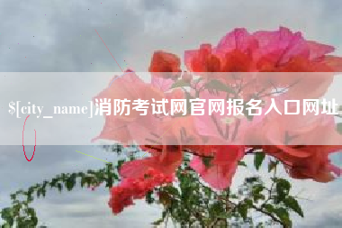 常宁消防考试网官网报名入口网址