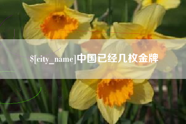 常宁中国已经几枚金牌