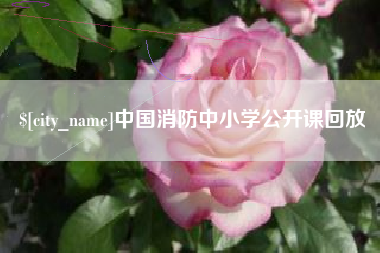 常宁中国消防中小学公开课回放