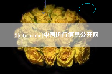 常宁中国执行信息公开网