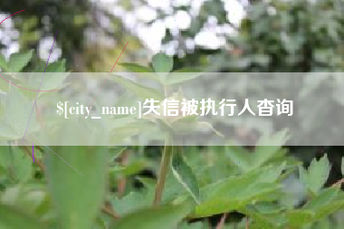 常宁失信被执行人杳询