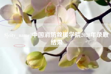 常宁中国消防救援学院2020年录取结果