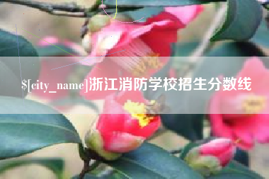 常宁浙江消防学校招生分数线