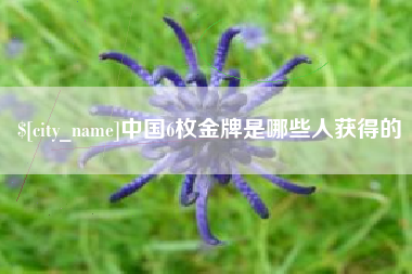 常宁中国6枚金牌是哪些人获得的