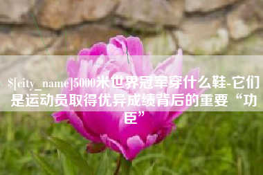 常宁5000米世界冠军穿什么鞋-它们是运动员取得优异成绩背后的重要“功臣”