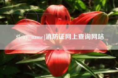 常宁消防证网上查询网站