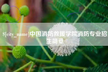 常宁中国消防救援学院消防专业招生简章