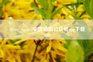 常宁中国消防公众号app下载