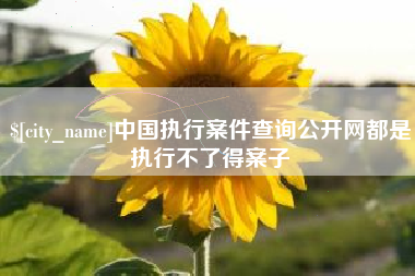 常宁中国执行案件查询公开网都是执行不了得案子 常宁中国执行案件查询公开网都是执行不了得案子