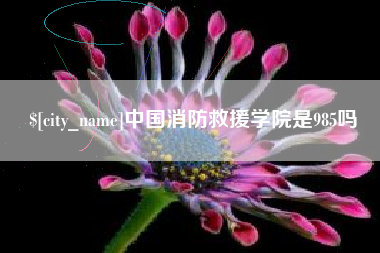 常宁中国消防救援学院是985吗