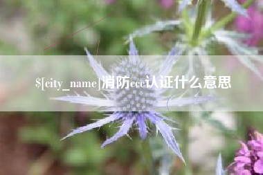 常宁消防ccc认证什么意思