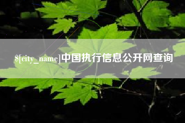 常宁中国执行信息公开网查询