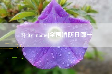 常宁全国消防日哪一