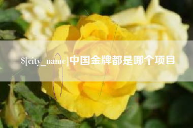 常宁中国金牌都是哪个项目