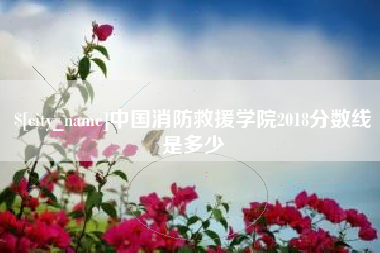 常宁中国消防救援学院2018分数线是多少