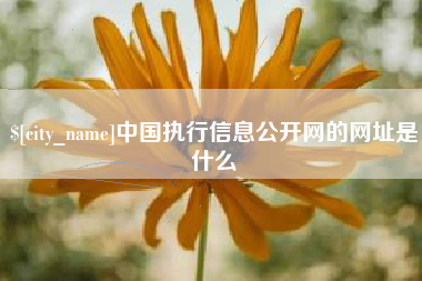 常宁中国执行信息公开网的网址是什么