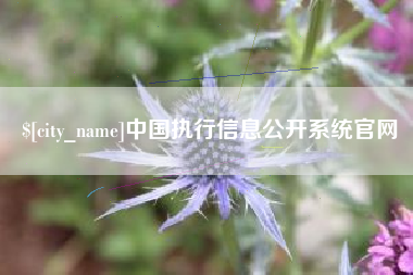 常宁中国执行信息公开系统官网