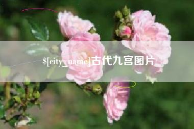 常宁古代九宫图片