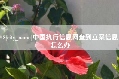常宁中国执行信息网查到立案信息怎么办