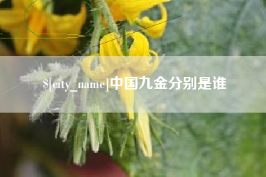常宁中国九金分别是谁