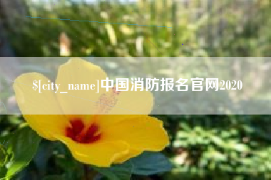 常宁中国消防报名官网2020