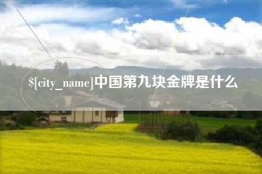 常宁中国第九块金牌是什么
