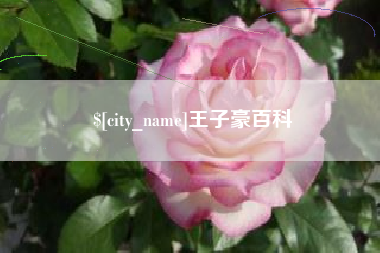 常宁王子豪百科