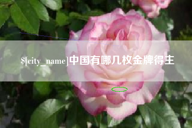 常宁中国有哪几枚金牌得主