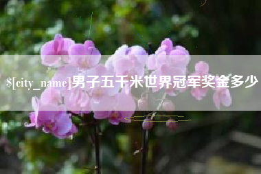 常宁男子五千米世界冠军奖金多少