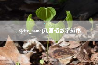 常宁九宫格数字排序