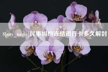 常宁民事纠纷冻结银行卡多久解封