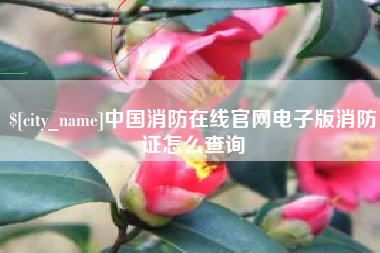 常宁中国消防在线官网电子版消防证怎么查询