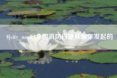 常宁全国消防日是从哪年发起的