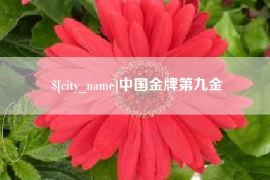 常宁中国金牌第九金