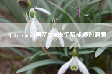 常宁男子5000米年龄成绩对照表